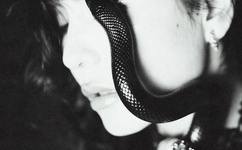 伊人一本到香蕉视频观看